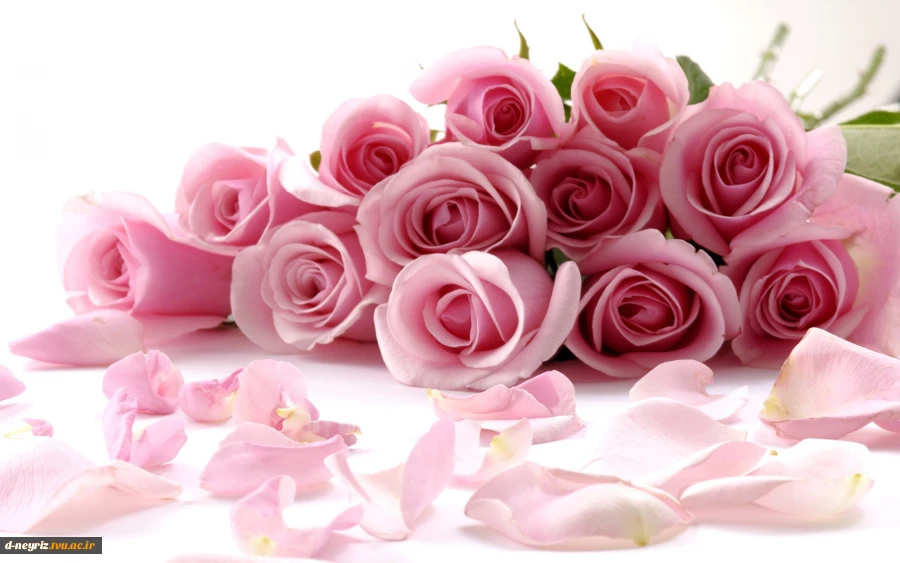 جلسه تودیع  سرکار خانم زهرا رجبی و معارفه سرکار خانم مهین صحراگرد 2