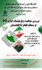 بررسی موقعیت ژئو پلیتیک ایران از منطقه قفقاز تا افغانستان 2