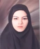 امور دانشجویی 2