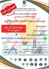ایده ها و دست آوردهای ورزشی 2