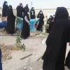 هفته درختکاری گرامی باد  2