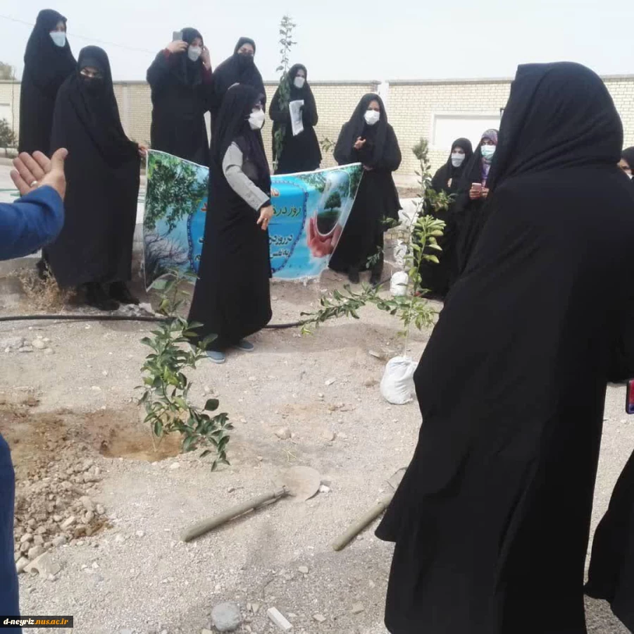 هفته درختکاری گرامی باد  2