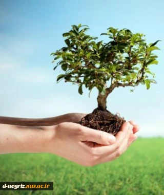۱۵ اسفند ماه  روز درختکاری