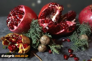 مناسبت شب یلدا 2