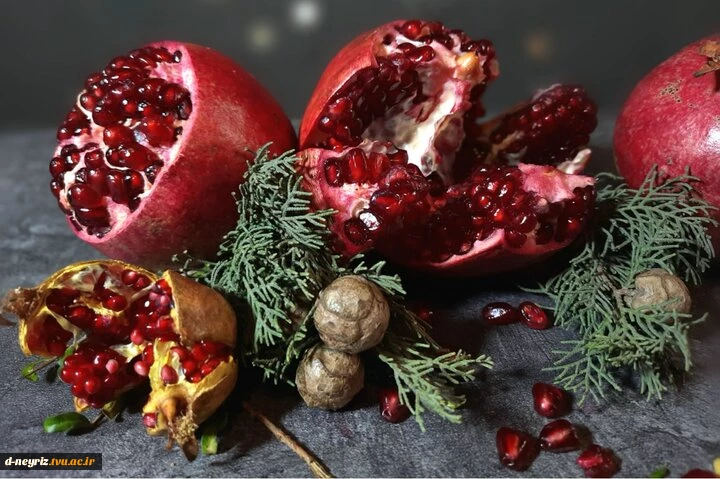 مناسبت شب یلدا