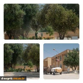 سم پاشی درختان زیتون آموزشکده با همکاری شهرداری نی ریز