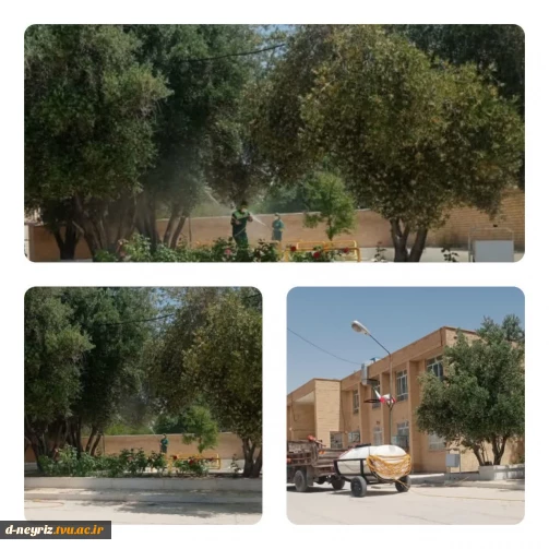 سم پاشی درختان زیتون آموزشکده با همکاری شهرداری نی ریز