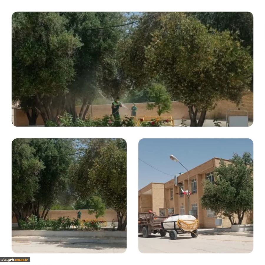 سم پاشی درحتان زیتون آموزشکده با همکاری شهرداری نی ریز  2