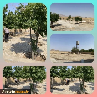 پاکسازی محوطه آموزشکده دختران نی ریز توسط نیروی خدماتی آموزشکده